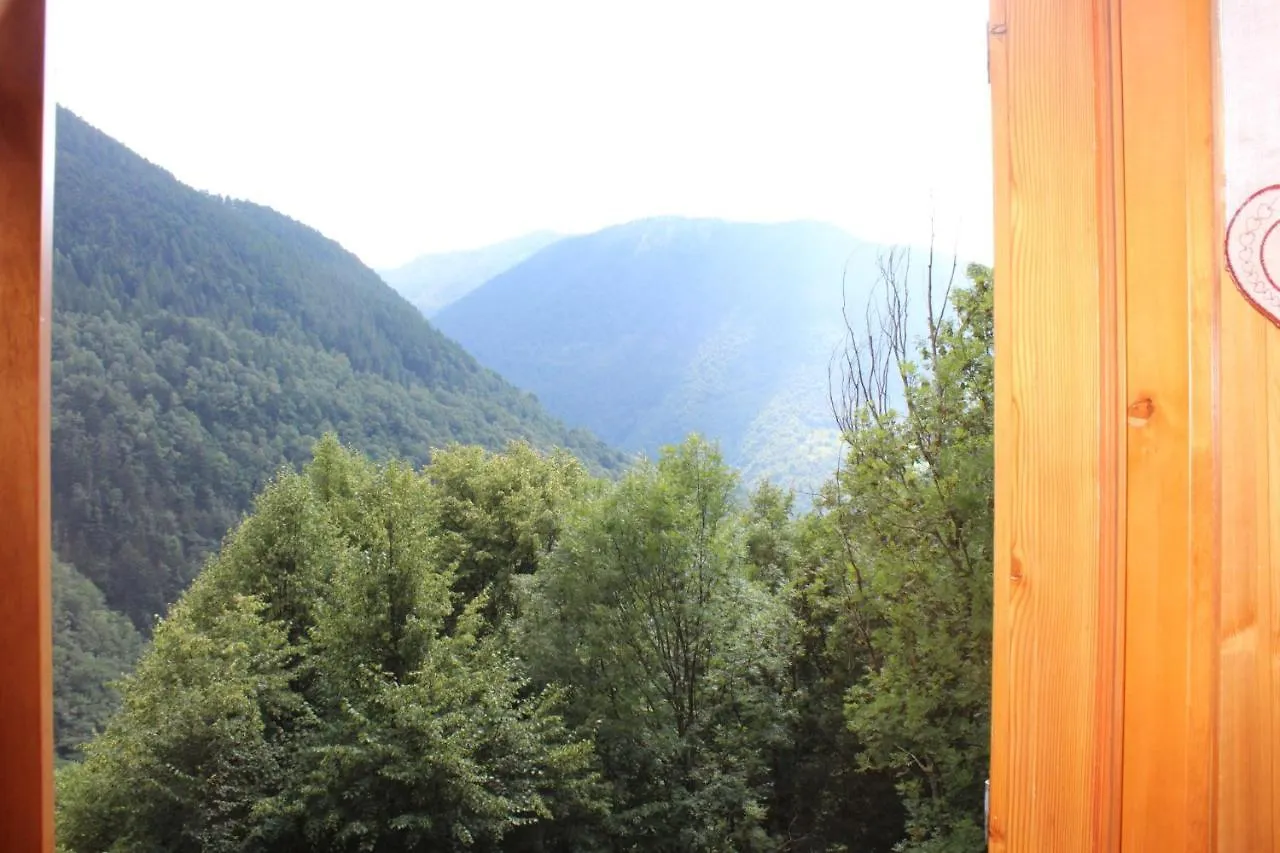Lodge Rustico Villa Premana Italy